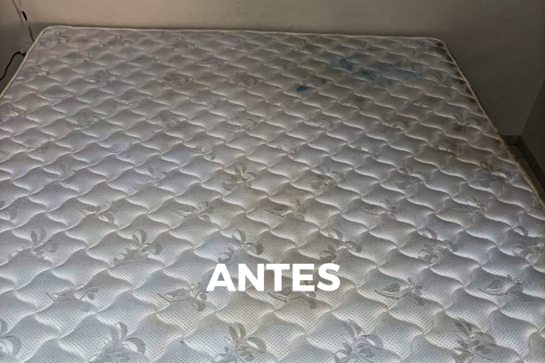 fpdl.in_maid-gloves-touching-mattress-by-hands_386167-11863_large.png